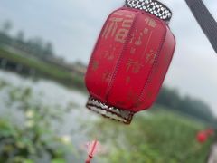 -东平国家森林公园
