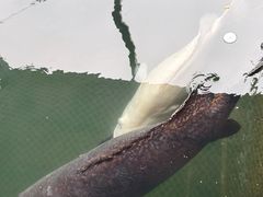 -蓝湾碧波·老字号·疍家非遗海上餐厅