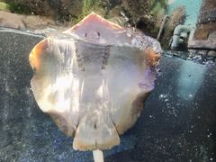-合肥海洋世界