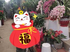 -金陵花卉交易市场