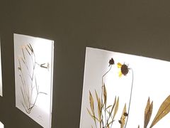 -予厘·推拿按摩·精油SPA(憩舍长安店)