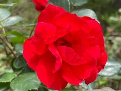 -冶父山国家森林公园