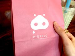 -WHEN PIGS FLY当猪飞