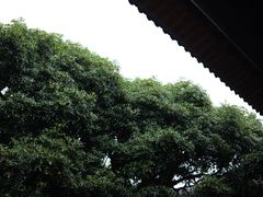 -呈坎景区