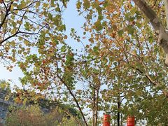 -长江路历史文化街区