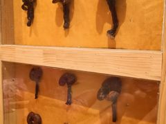 -蓝鲸湾汤泉(包河店)