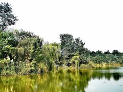 -白鹭湾湿地公园