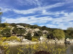 -北京西山国家森林公园