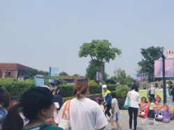 -季高兔窝窝亲子园(上海薰衣草公园店)