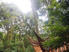 -都江堰普照寺