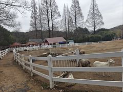 -白马涧龙池景区