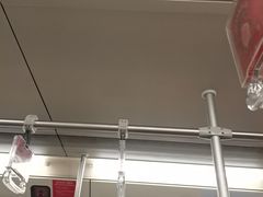 -杨高南路(地铁站)