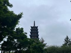 -上海方塔园