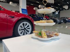 -TESLA 特斯拉(深圳观澜特斯拉直营钣喷中心)