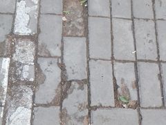 -大众海鲜(巨龙北路店)