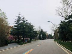-渡海小渔村.老辈日照菜