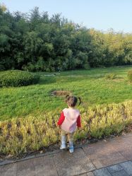 -大望京儿童游乐场