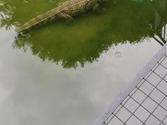 -深圳野生动物园
