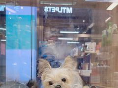 -FAELING PETS美天灵宠物(富力广场店)