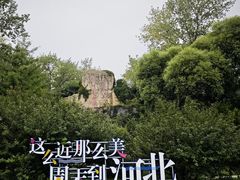 -秦皇岛野生动物园