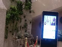 android_upload_pic-常州环球恐龙城维景国际大酒店