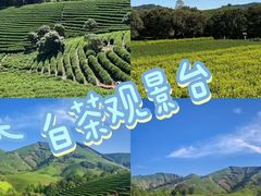 -阿露佳·舌尖上的安吉菜