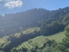 -敬亭山风景名胜区