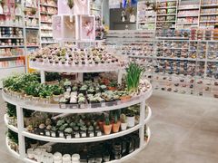 -KKV(深圳kk one 店)