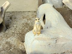-森波拉奇妙世界