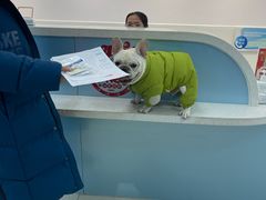 -北京观赏动物医院·24小时大型综合·猫专科·异宠专科