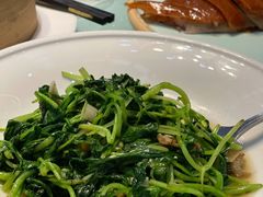 鸡毛菜炒金钩海米-鹊华居·地道鲁菜·海鲜·融合味(大明湖店)