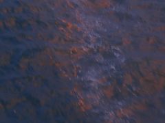 -海堤纪念公园
