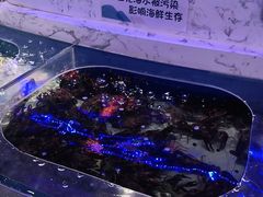 -澜悦港海鲜体验主题餐厅