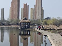 -前关湿地公园