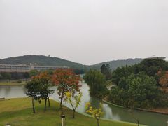 -上海佘山世茂艾美酒店