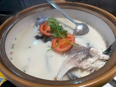 -全乐鱼馆·淳牌有机鱼直营店