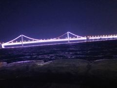 -星海湾跨海大桥