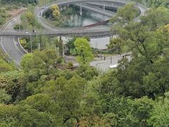 -福道