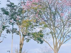 -白石龙音乐公园