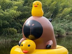 -黄海国家森林公园