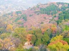 -香山公园