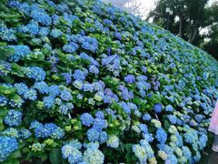 -苏州上方山国家森林公园