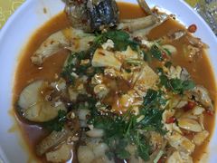 -煲来饱去冷水鱼