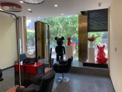 -IP SALON
