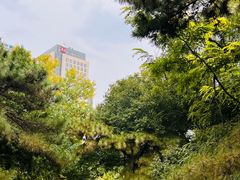 -元大都城垣遗址公园