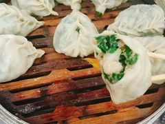-小叶大馅饺子城