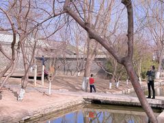 -三里河公园