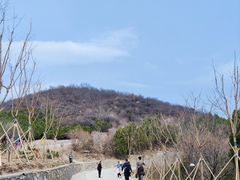 -北京西山国家森林公园