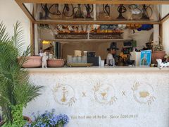 -Sirena海妖日咖夜酒