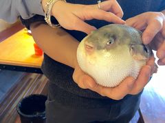 -永安鱼庄·镇江菜(丁卯店)